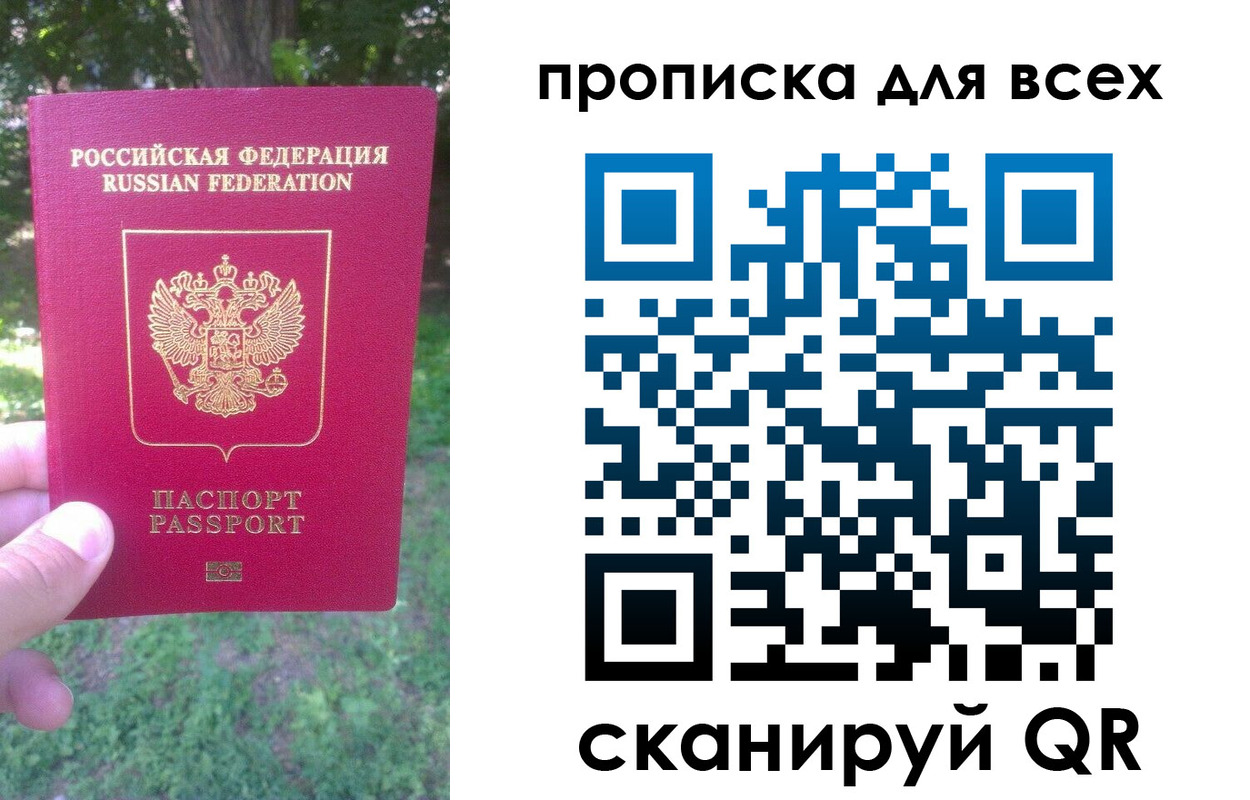 прописка поиск в Ногинске